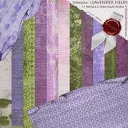 Terragina`s Lavender Fields - The Papers