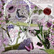 Terragina`s Lavender Fields - The Elements