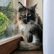 Ein Platz am Fenster