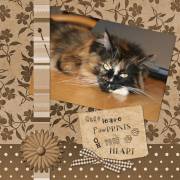 Dreamin` Beverly