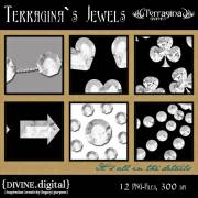 Terragina`s Jewels - Details