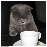 Dich schnapp ich mir...