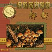 Mushrooms &copy; by KS, 2006